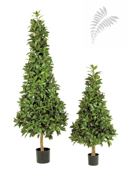 LAUREL PYRAMIDE DE LUXE 50204N